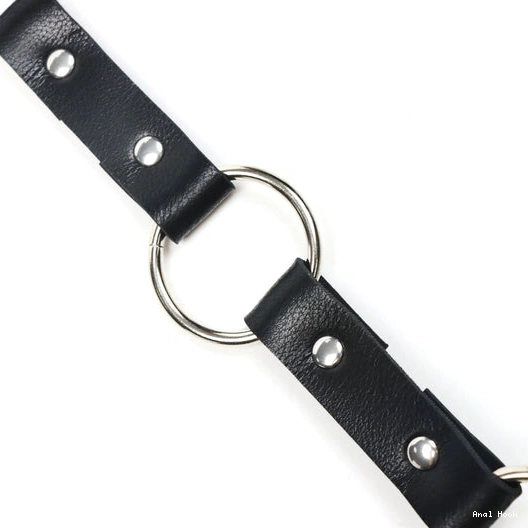 Anal Hook and Collar Kinky EverydayUse 5853 Leash with 0831